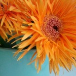 flowers on desk