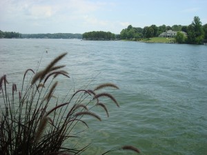 The Lake